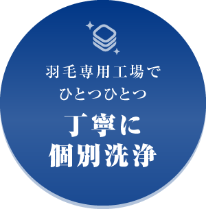 羽毛専用工場でひとつひとつ丁寧に個別洗浄