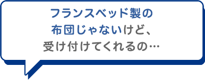 フランスベッド製の布団じゃないけど、受け付けてくれるの…