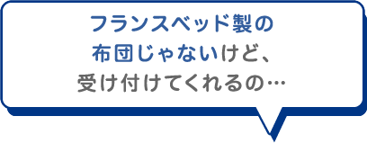 フランスベッド製の布団じゃないけど、受け付けてくれるの…