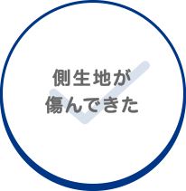 側生地が傷んできた